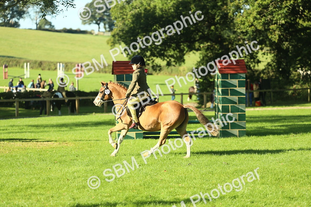 SBM_36343 - S29 - Novice & Newcomers Working Hunter Pony