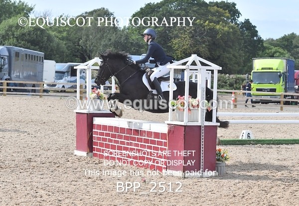 BPP_2512 - DERBY CLASS 7 - 80CM