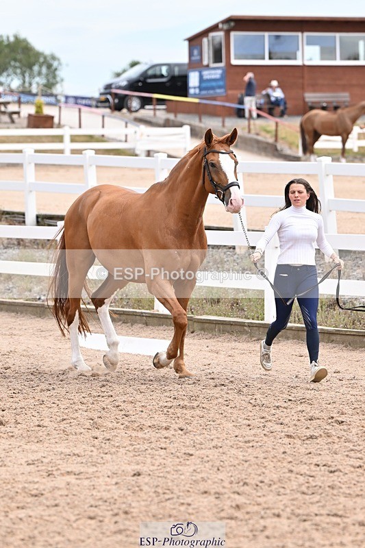 250716-142958-01134 - Trot Up 1.30 to 2.30
