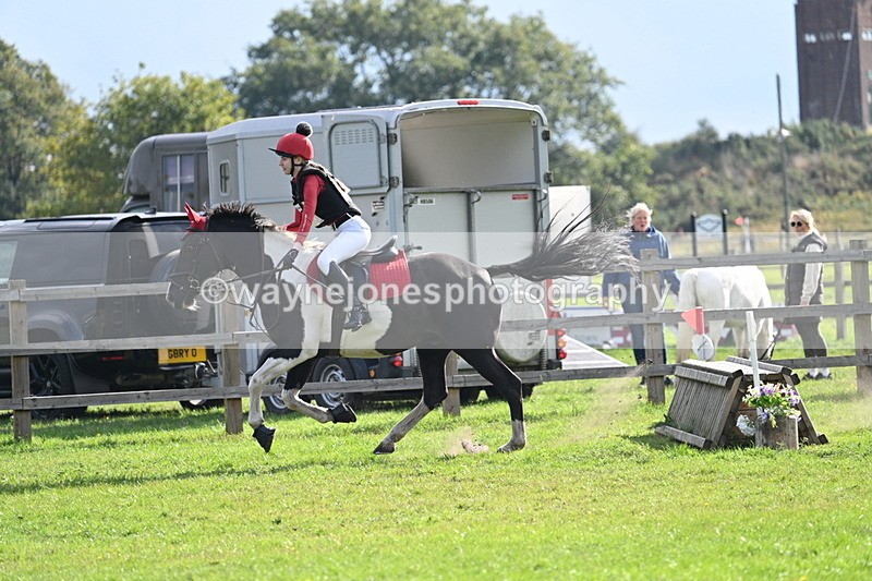 WJ7_4903 - 60cm Time 11:11 to 11:19