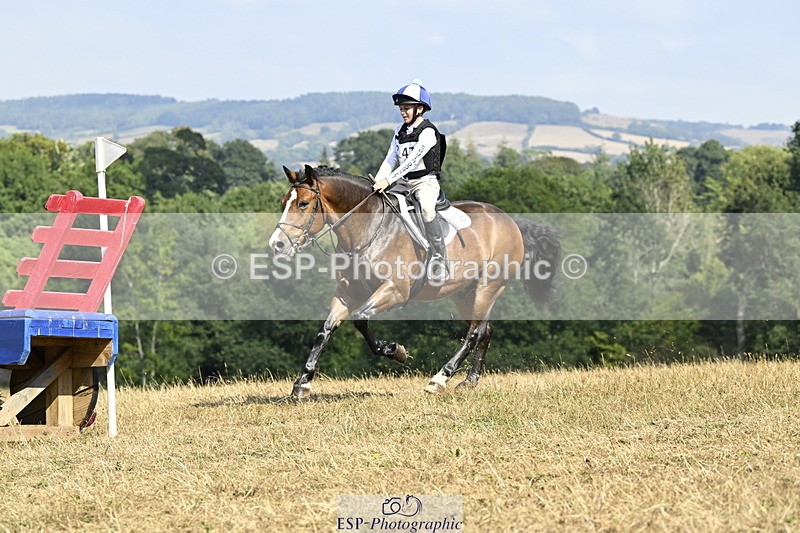 250824A-145231-38849 - 2147-George.Walford-meadow.sweet.conker