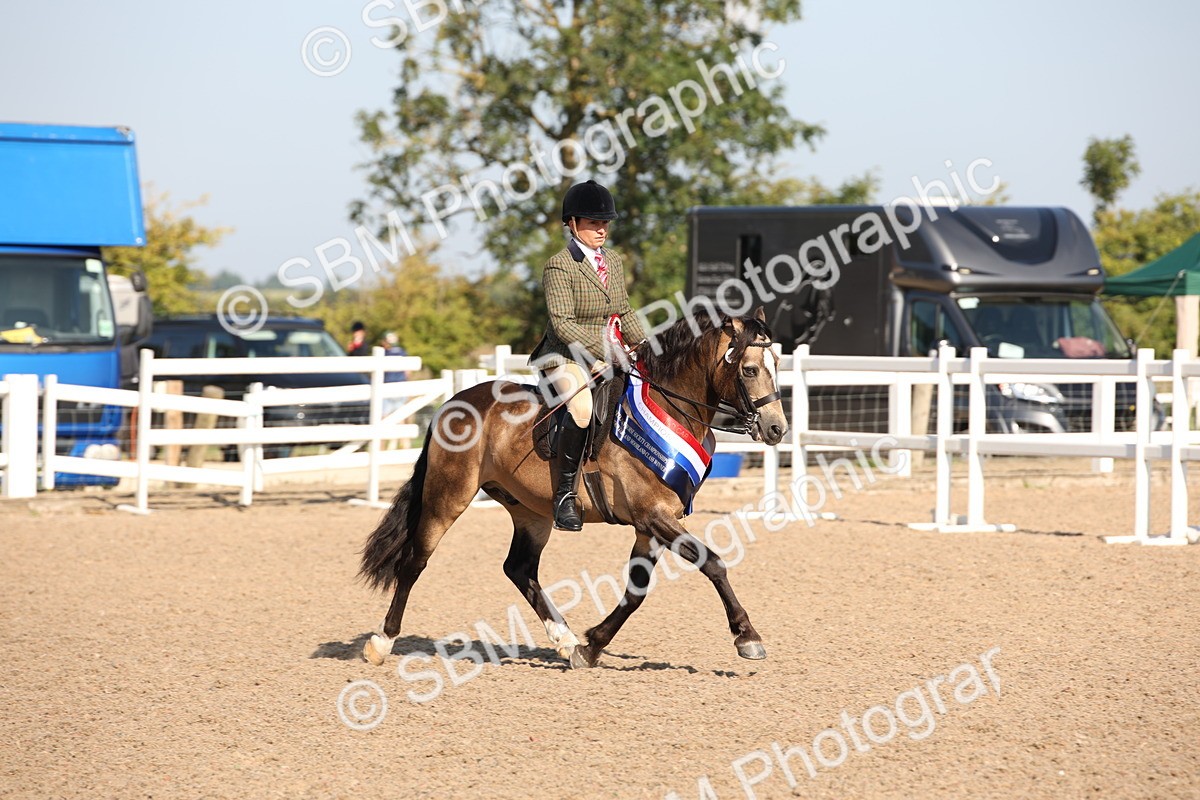 SBM_00784 - Class 14 Ridden M&M Wildcard