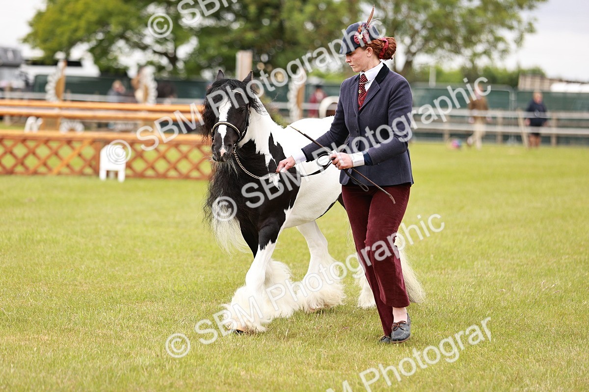 SBM_05993 - Class 39-41 TGCA In Hand and Ridden