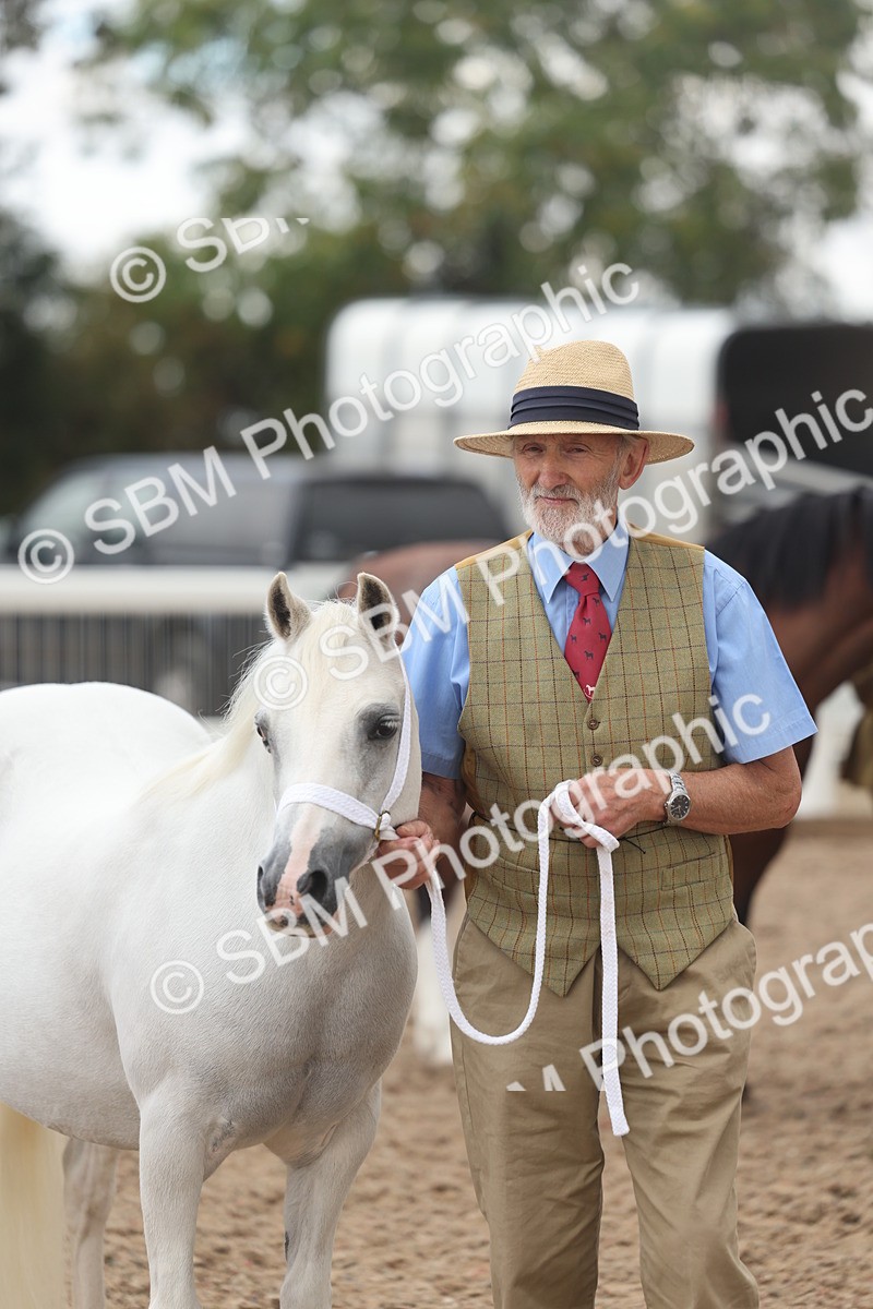 SBM_03232 - Class 16 - IH M&M Wildcard