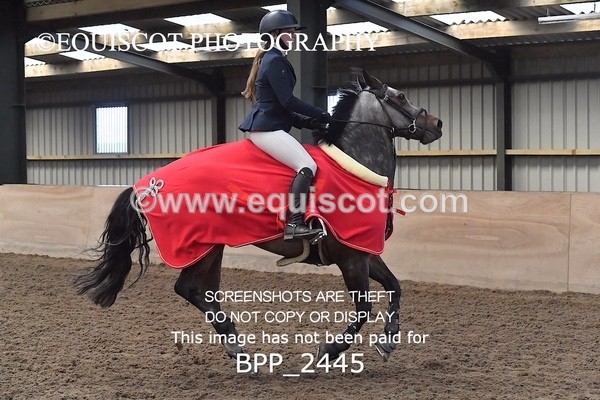 BPP_2445 - CLASS 15 148cm Pony Royal Highland Show