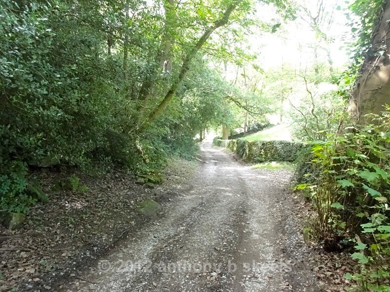 075  Our lane of tranquility  to Low Laithe - York Minster Walkers Collection 2024