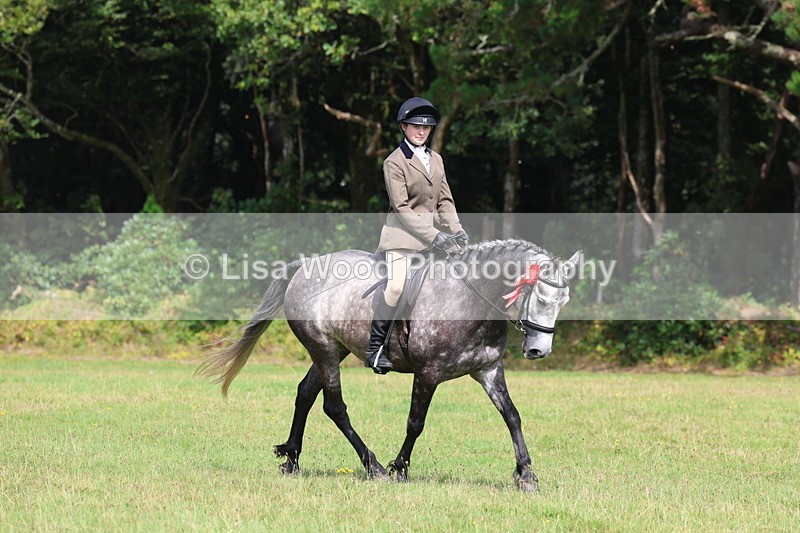 3E7A6048 - Working Hunter Championship