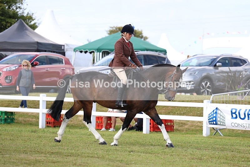 3E7A9658 - Class 5: Rising Star Lightweight/Heavyweight Cobs