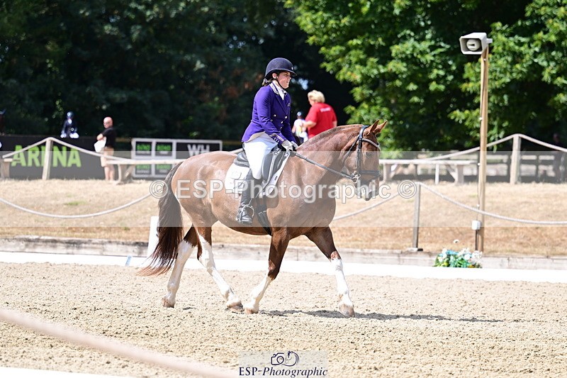 260802A-112148-06312 - Novice Bronze break - end
