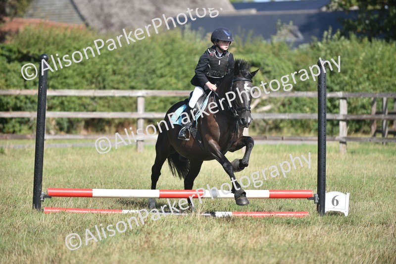 20260906-0950 - Class 7 - Absolute Novice Jumping 35cm