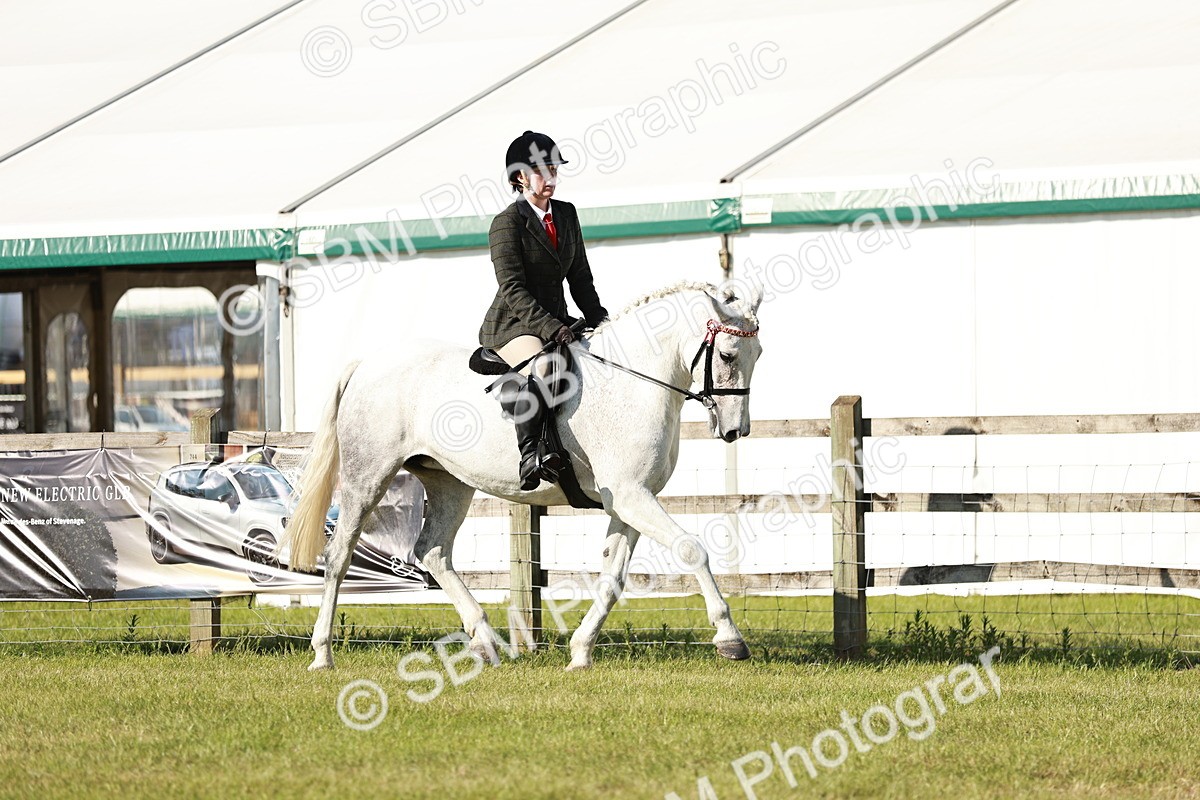 SBM_19222 - Class 115-116 - LIHS BSHA Rising Star Working Hunter & Show Horse