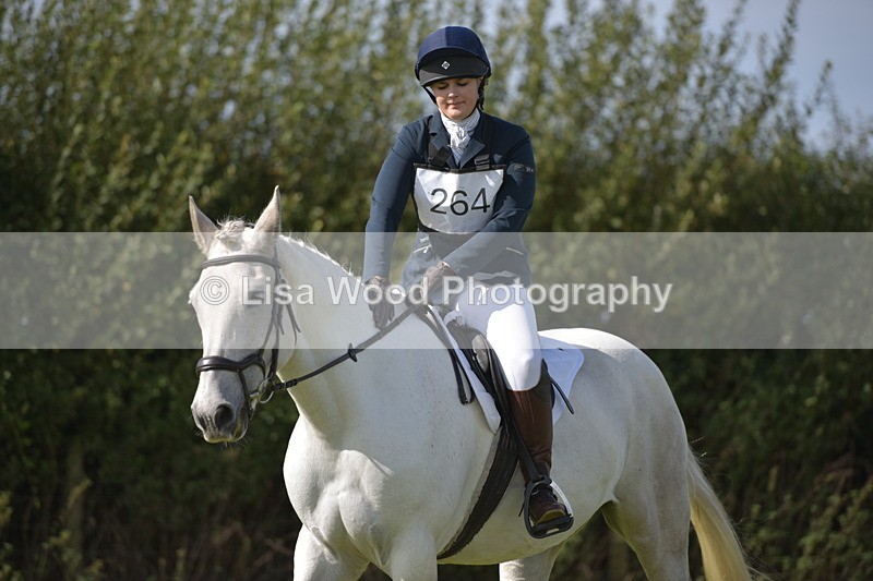 RAY_8074 - Class 2B: Trekenning Open: Dressage