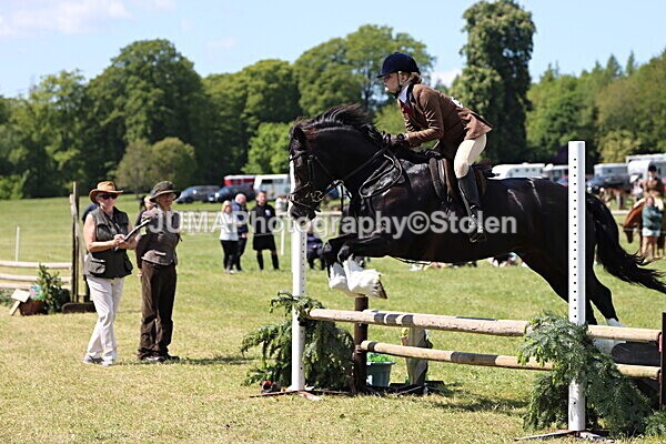 IMG_3706 - Working Hunter
