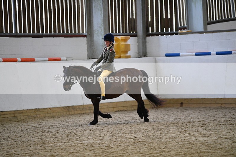 WJ5_6927 - Class 10 Childs Pony