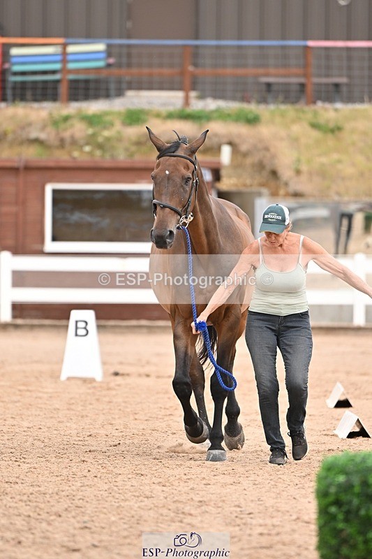 250716-155513-02281 - Trot Up 3.30 to 4.30