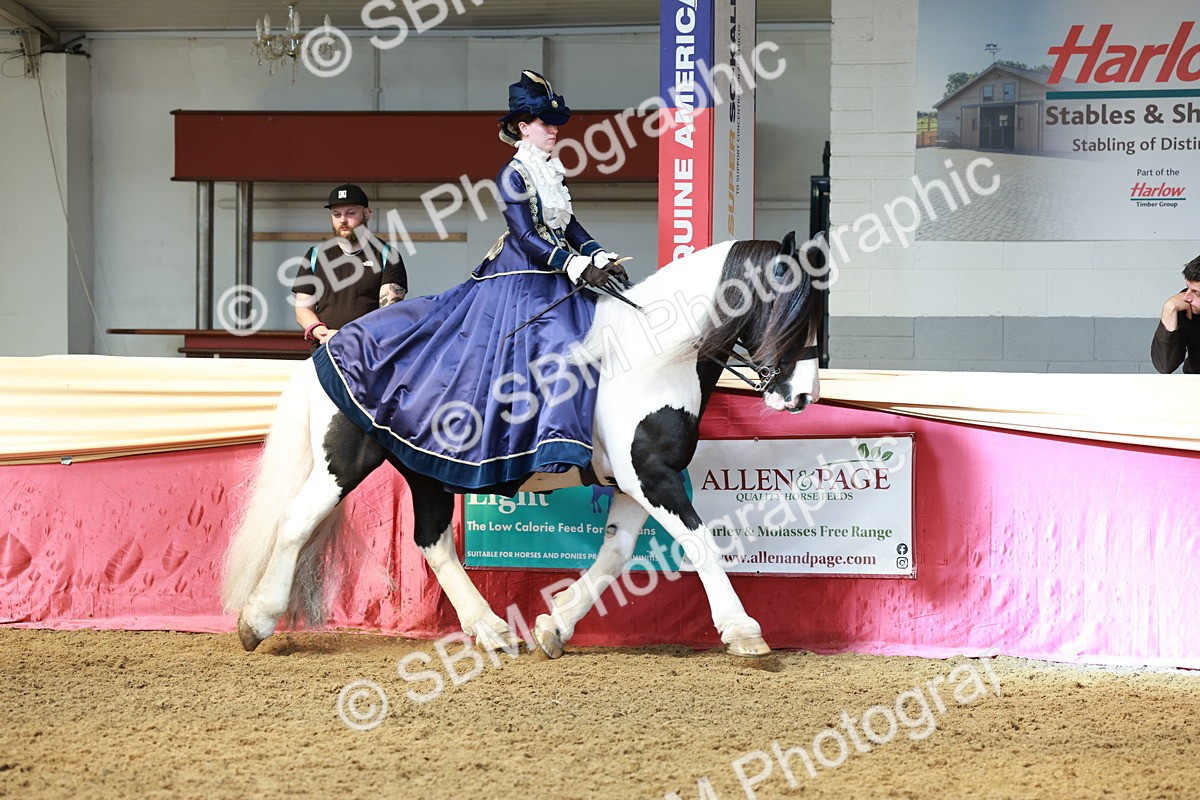 SBM_13732 - Class 106 - Ridden Costume -Astride Adult (15-19)