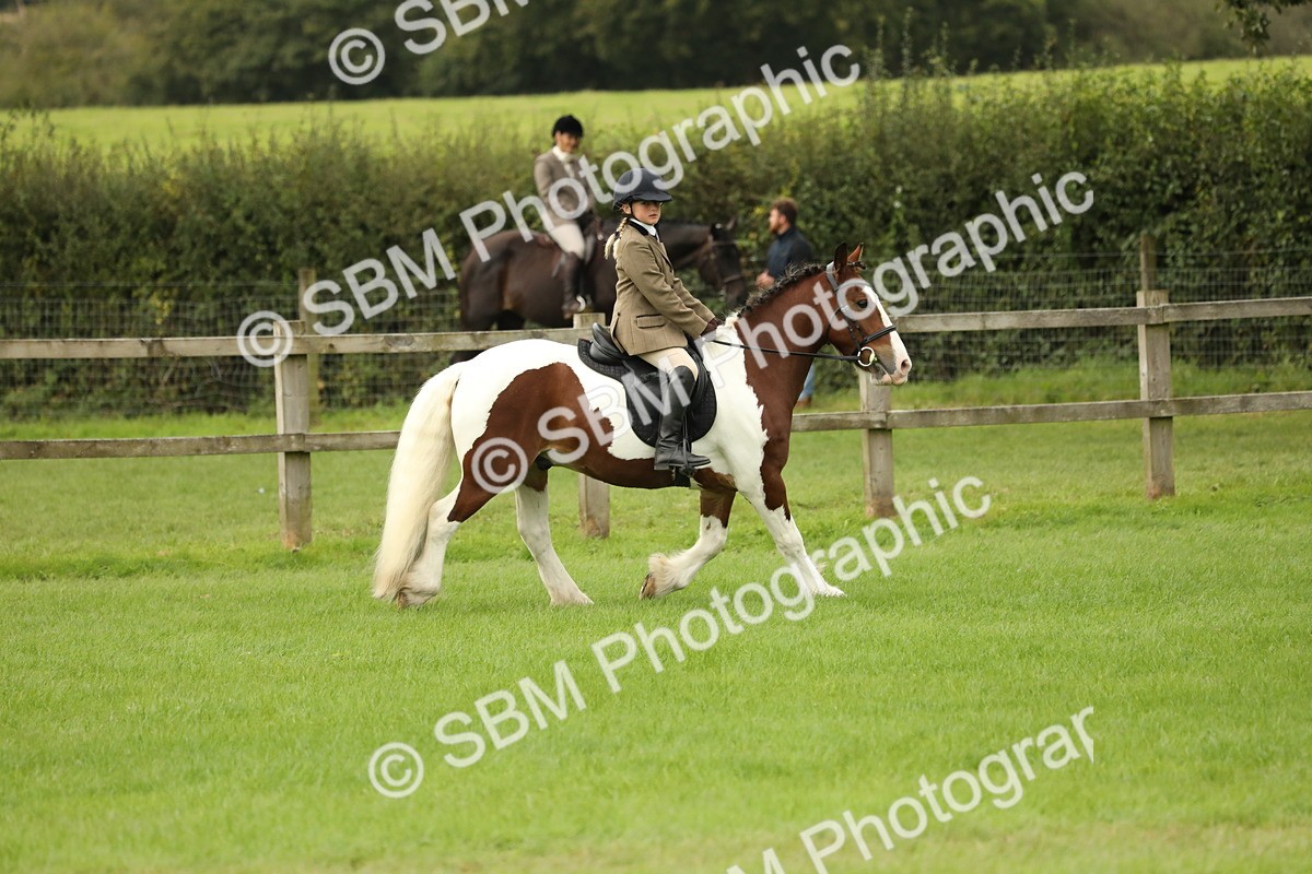 SBM_71701 - S41 - Ridden Equitation (Best Rider)