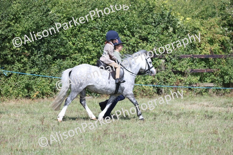 20250831-2631 - Class 17 - Lead Rein Pony