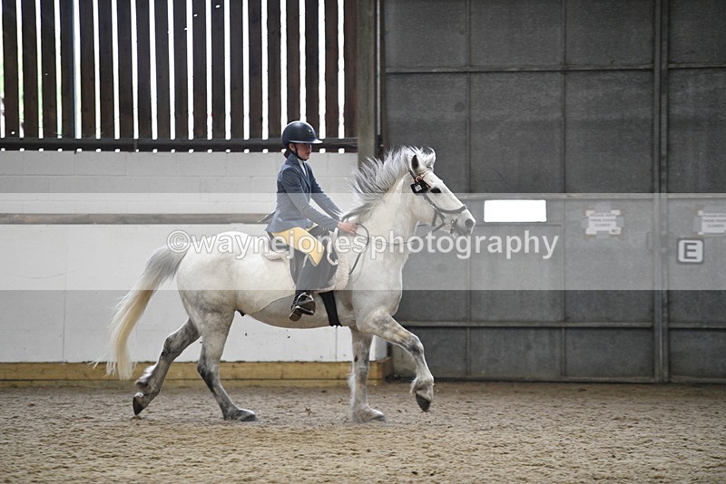 WJ5_7923 - Class 13 Ridden Part Breed