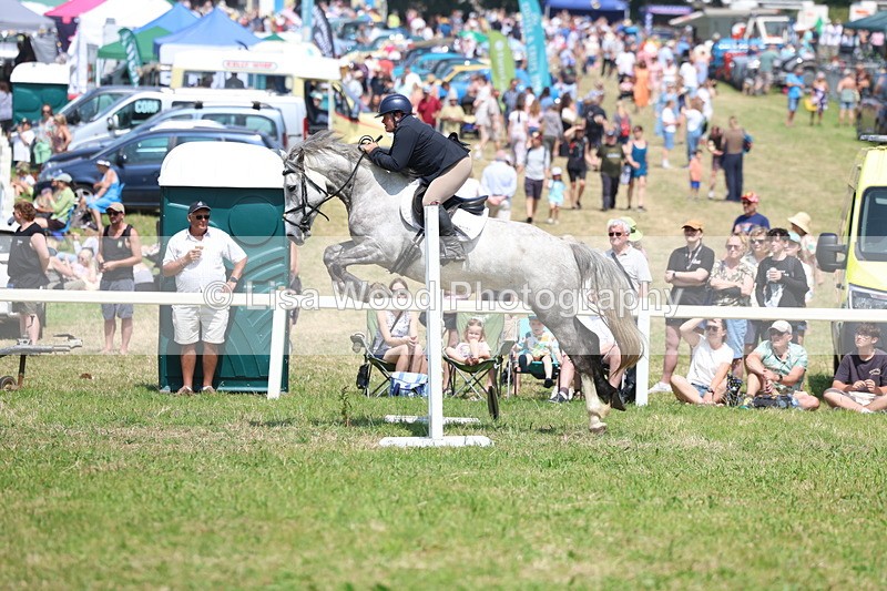 3E7A2926 - Class 7: Senior British Novice/90cm open