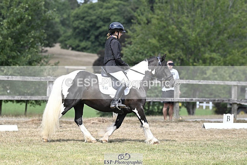 250821A-114248-15299 - DR 11.00 to 12.00