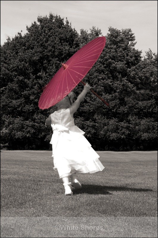  - Wedding Photography