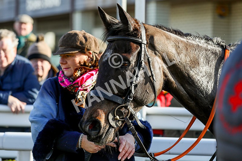 270224-Race 2-Prairie Wolf-8391 - Race 2