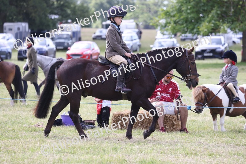 20260614-0790 - Class 20 - Beginners Working Hunter Pony