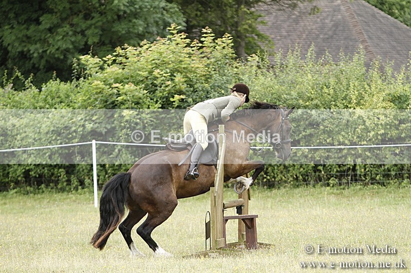 BVR160717-338 - Ring 3 BVRC Show 16/07/17