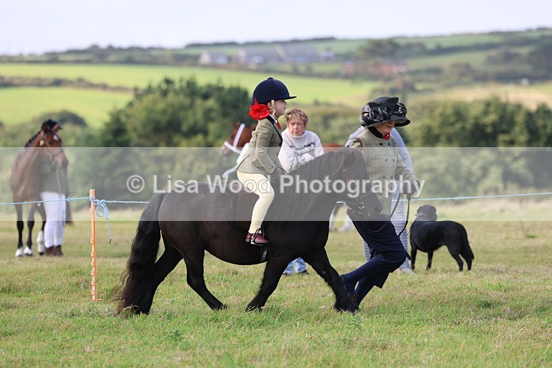 3E7A3502 - Class 2: Lead rein