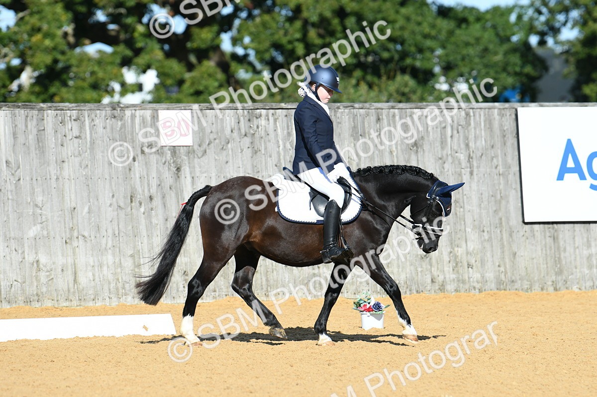 SBM_16323 - D4 - Small Tour Championship - Intro B