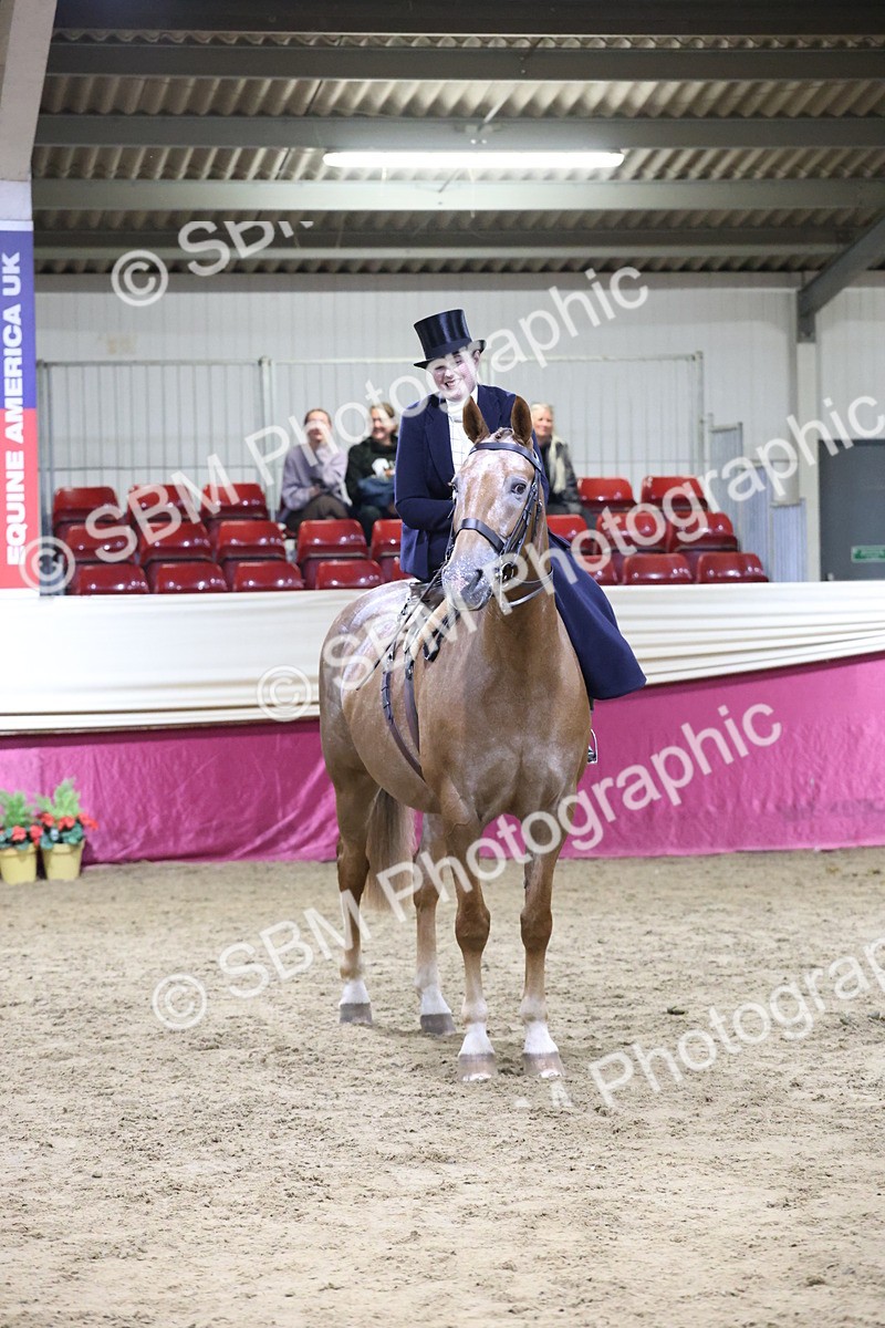 SBM_20979 - Class N - Side Saddle Champ