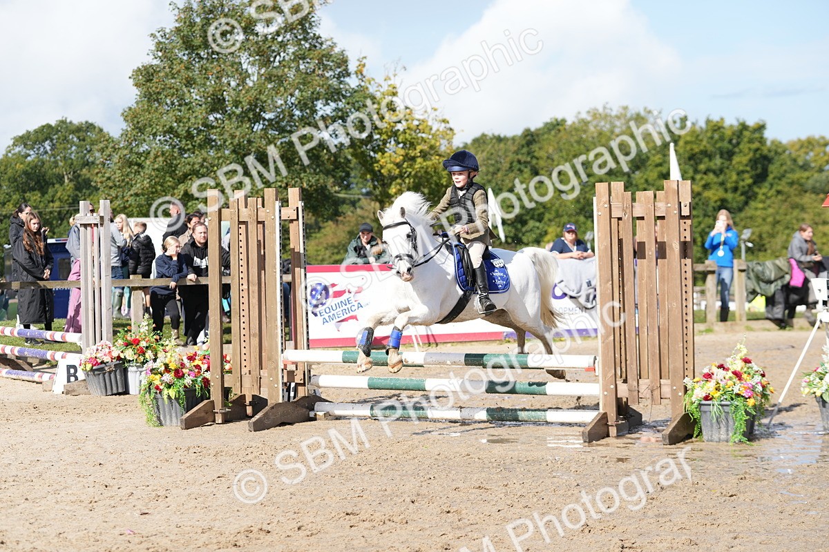 SBM_39563 - J6 - Junior Pony 55cm Championship