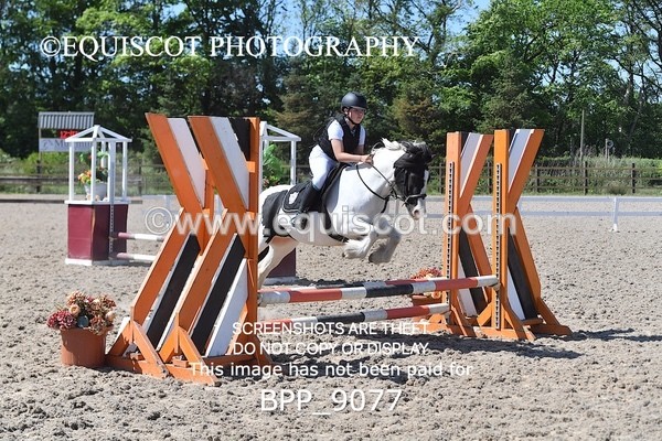 BPP_9077 - CLASS 5 60CM