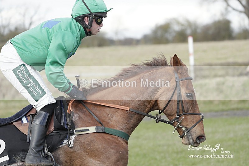 PtP 180323 577 - Shelfield Park Races with Croome & West Warwickshire Hunt  18/03/23