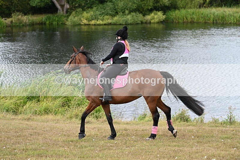 WJ7_6037 - Time 11:50 to 12:09