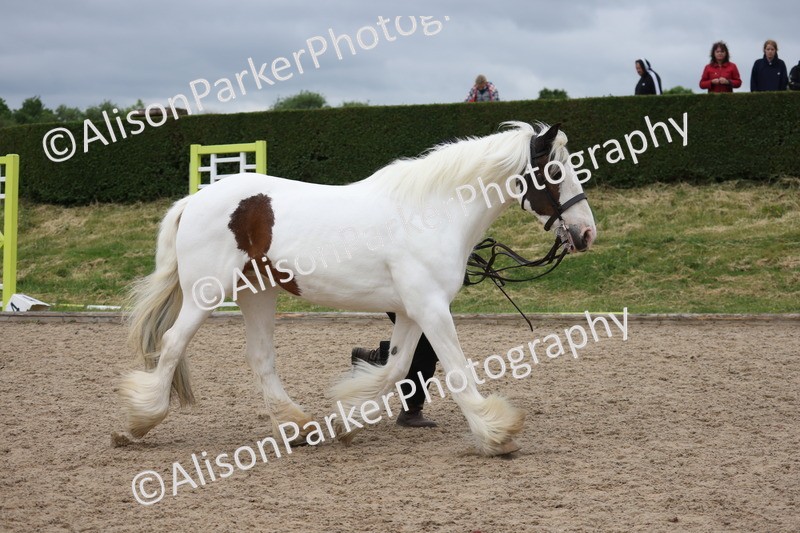 20250524-0780 - Class 7 - Veteran