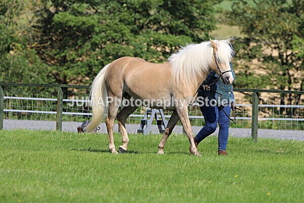 SIAL6150 - Ring 1 & 3