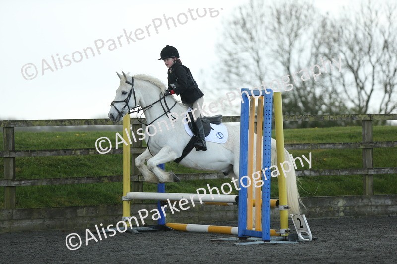 20260412-1923 - Show Jumping