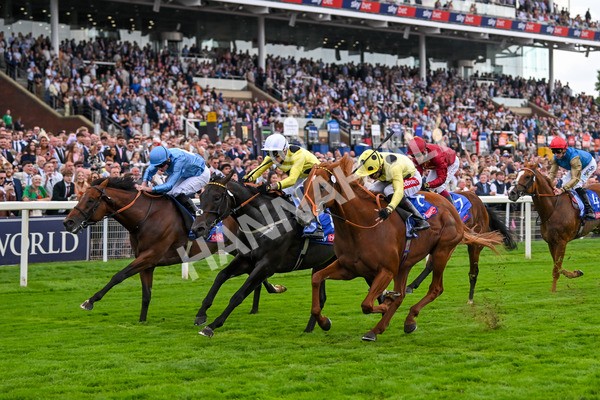 230825-Race 1-King Of Cities-9585 - Race 1 1.50pm Sky Bet Strensall Stakes