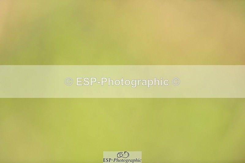 240523B-102124-01754 - 4 Year Old