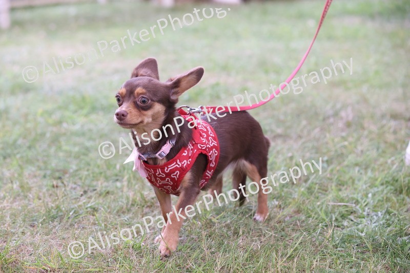 20250607-0204 - Class 4 - Little and Large