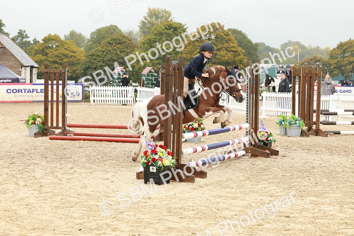 SBM_71074 - J14 - Junior Pony 65cm Championship
