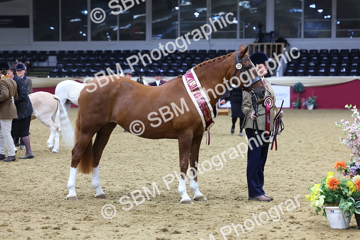 SBM_19801 - Class 901 - Supreme Final - IH Diamond