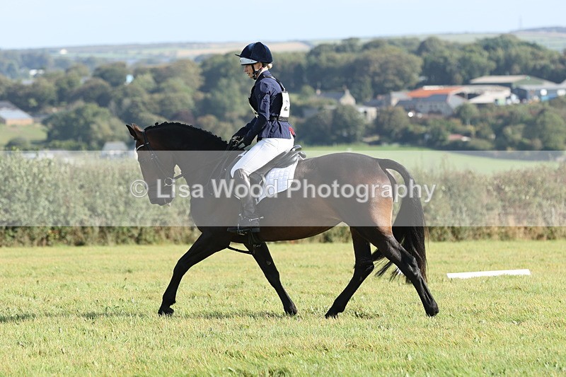 JPP_7977 - Class 2A: Trekenning Open: Dressage