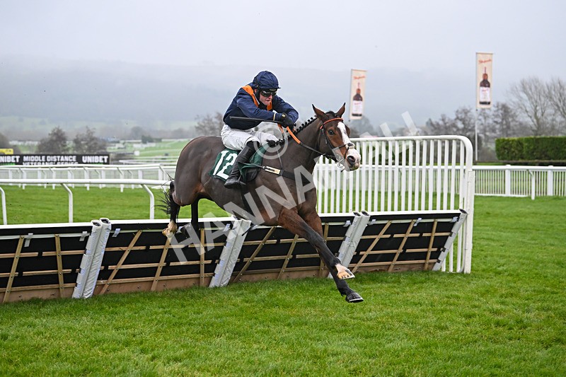 131224-Race 3-Mirabad-8887 - Race 3
