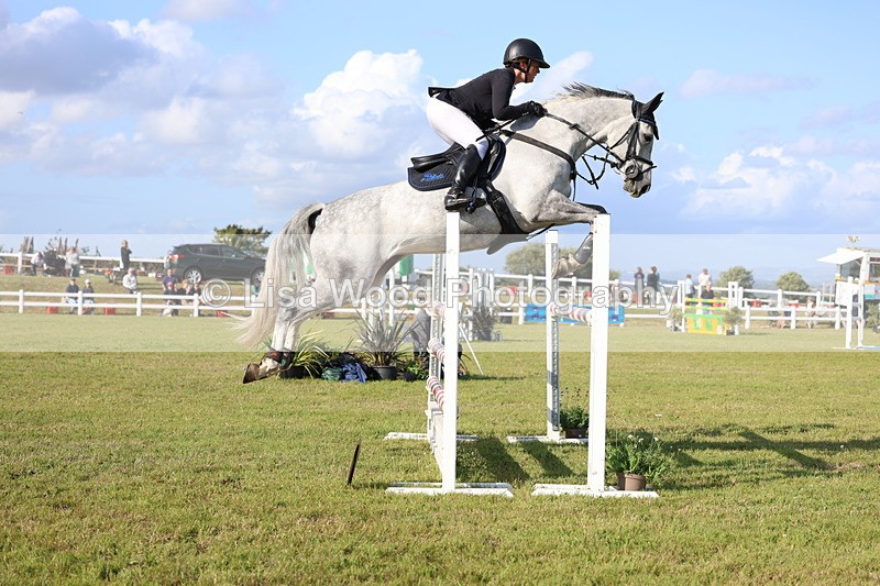 3E7A4462 - Class C: Showjumping Senior Foxhunter