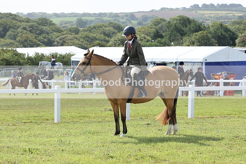 JPP_0849 - Class 16: Cornish Combination Young Rider