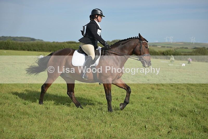 RAY_7740 - Class 2B: Trekenning Open: Dressage