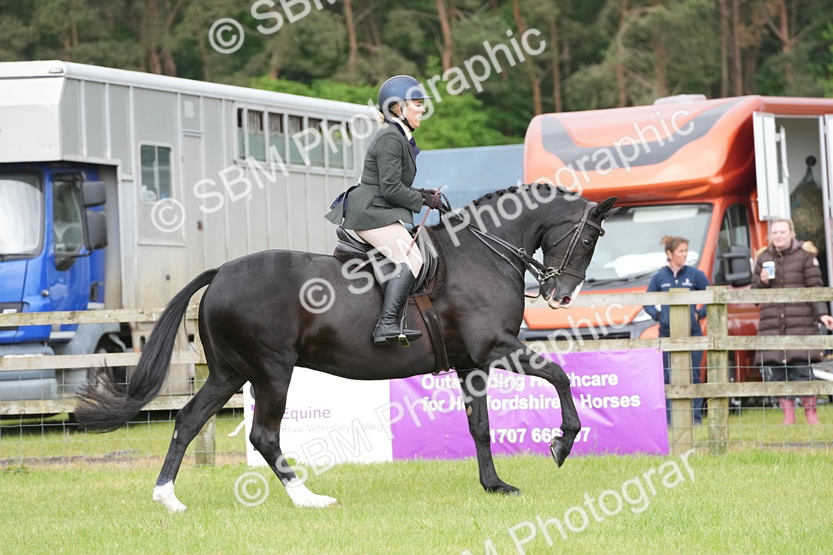 SBM_12658 - Class 97-98 - LIHS BSHA Rising Star Working Show Horse Hunter
